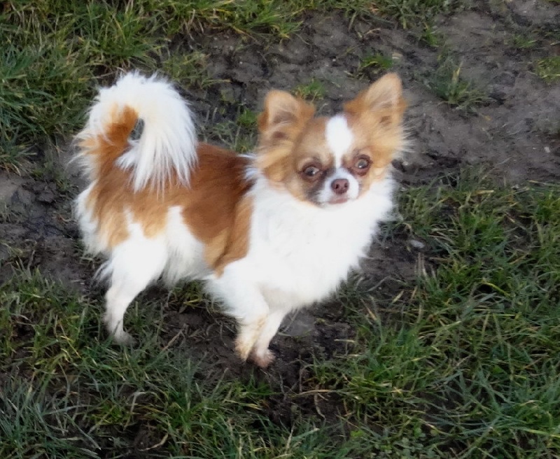 Inside the devil d'Acca Larentia