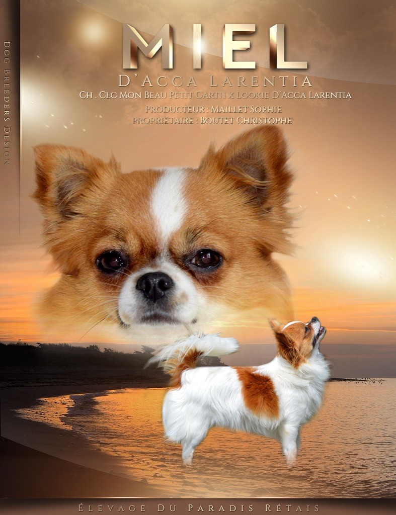 Miel d'Acca Larentia