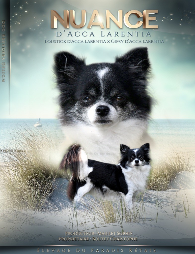 Nuance d'Acca Larentia