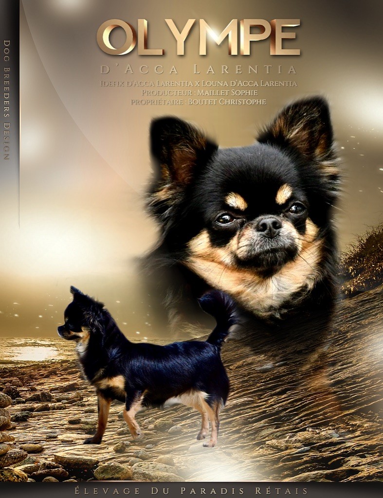 Olympe d'Acca Larentia