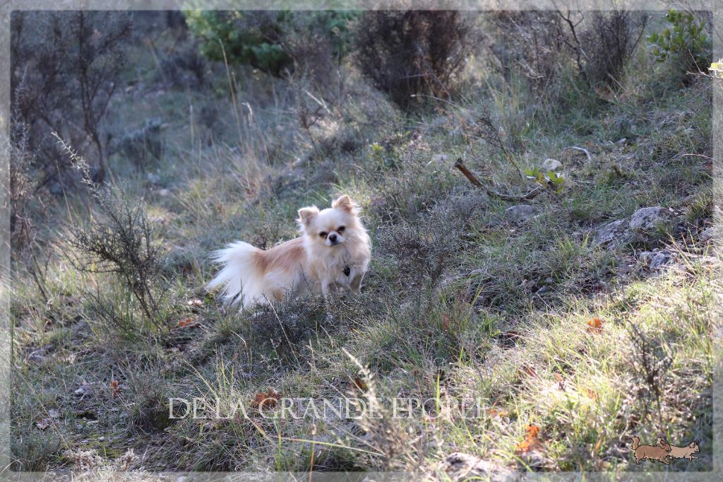 Popeye d'Acca Larentia