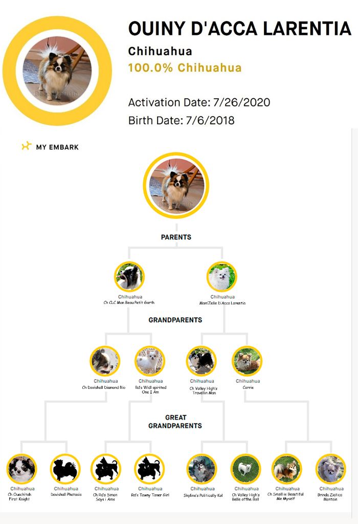 Test de race sur 3 générations !